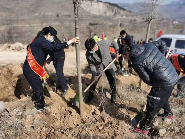 植樹(shù)添新綠，不負(fù)好春光！山東三箭集團(tuán)開(kāi)展義務(wù)植樹(shù)活動(dòng)